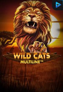 Bocoran RTP Slot Wild Cat Multiline di KAMPUNGHOKI