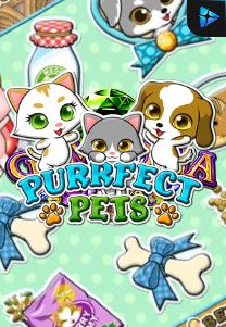 Bocoran RTP Slot Perfect Pets di KAMPUNGHOKI