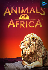 Bocoran RTP Slot Animals-of-Africa-foto di KAMPUNGHOKI