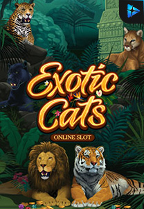 Bocoran RTP Slot exoticcats di KAMPUNGHOKI