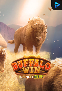 Bocoran RTP Slot Buffalo Win Infinity Reels di KAMPUNGHOKI