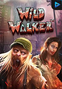 Bocoran RTP Slot wild walker di KAMPUNGHOKI