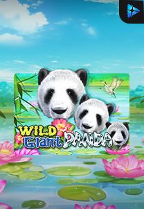 Bocoran RTP Slot Wild-Giant-Panda di KAMPUNGHOKI